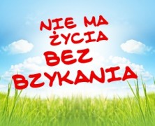 Nie ma życia bez bzykania